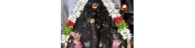 கத்தாங்கண்ணி